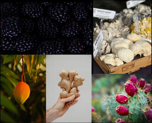 The Power of Ingredients - Inside Every Lorea Blend