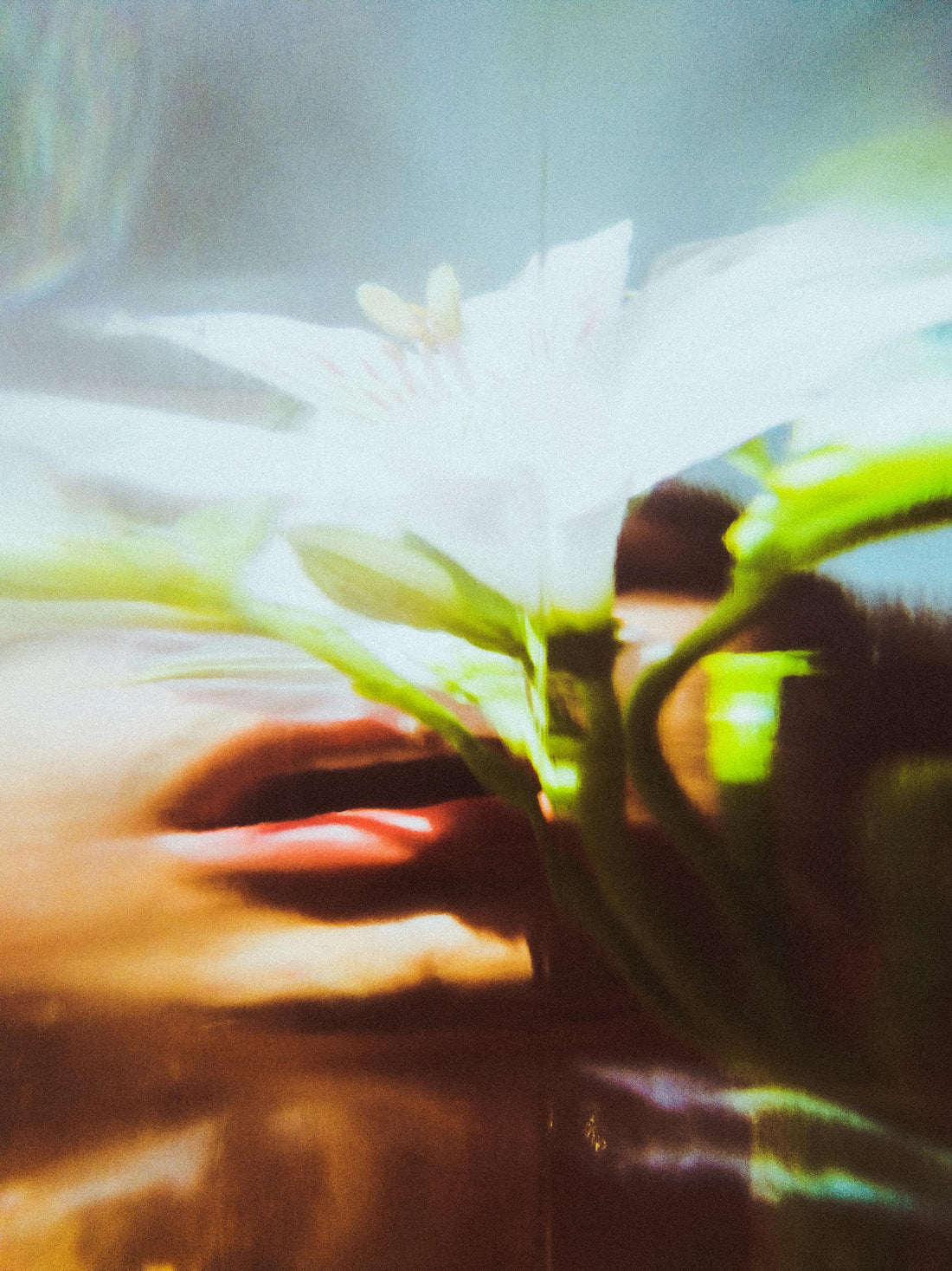 Lorea Means Flower - The Story Behind Our Name